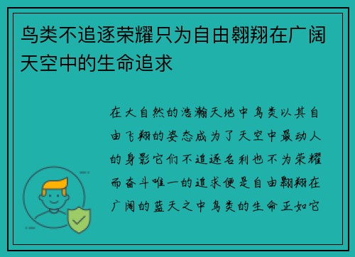 鸟类不追逐荣耀只为自由翱翔在广阔天空中的生命追求